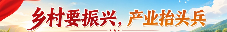首页短横幅